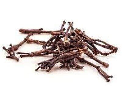 Clove stems