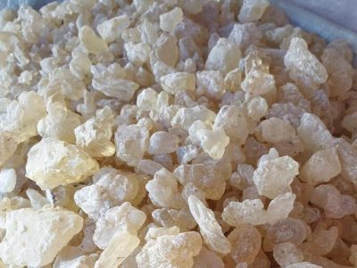 Gum Damar