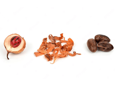 Mace_and_Nutmeg_2.jpg