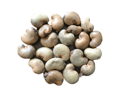 Raw_Cashew_Nut_2